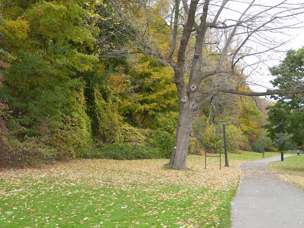 Niagara Falls in Autumn 2007 25